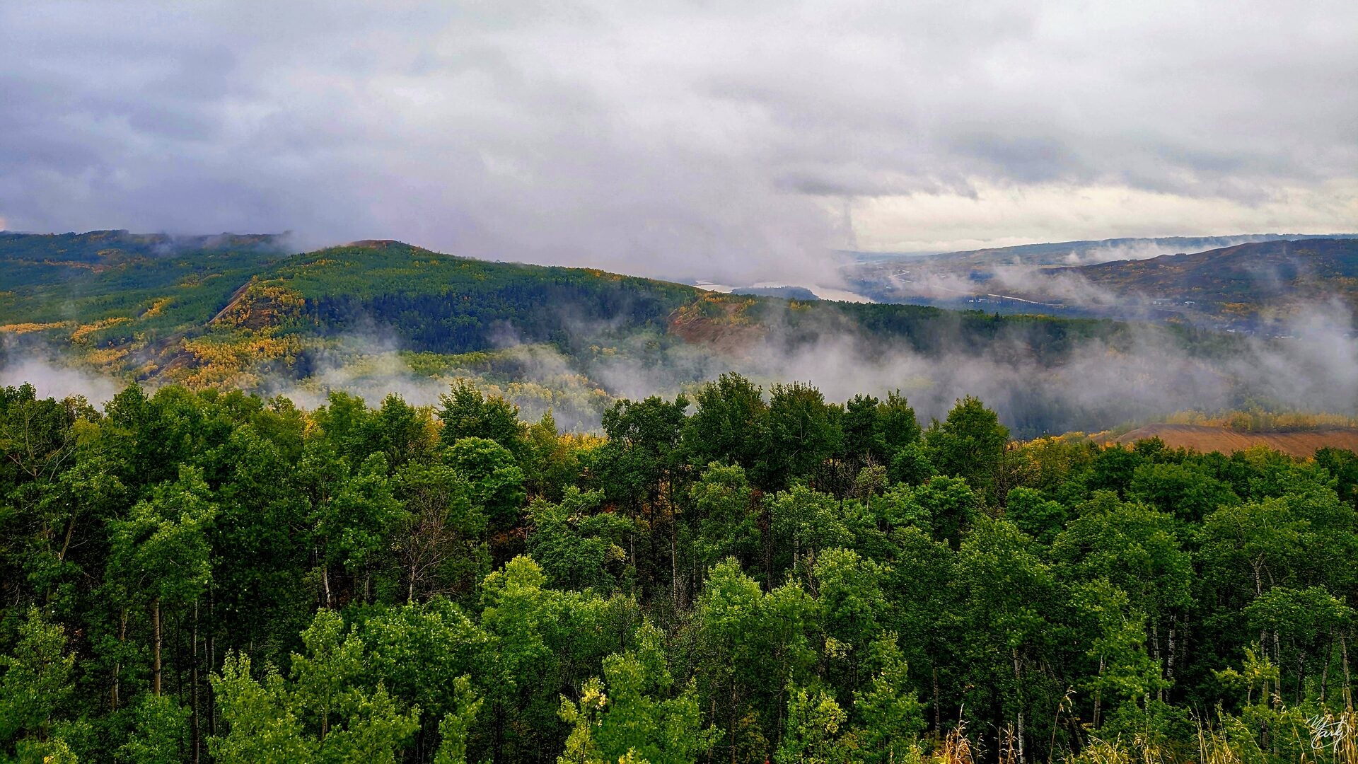 Mist over the Peace River forest